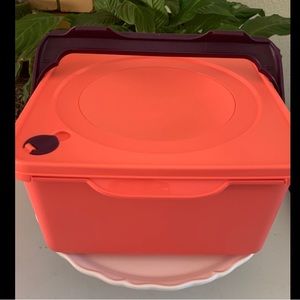 Tupperware Porta Bread/Picnic Square Kimchi Keeper